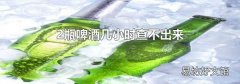 2瓶啤酒几小时查不出来