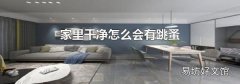 家里干净怎么会有跳蚤