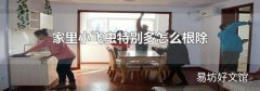 家里小飞虫特别多怎么根除