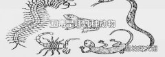 五毒是哪几种动物