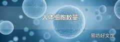 人体细胞数量