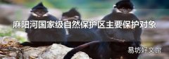 麻阳河国家级自然保护区主要保护对象