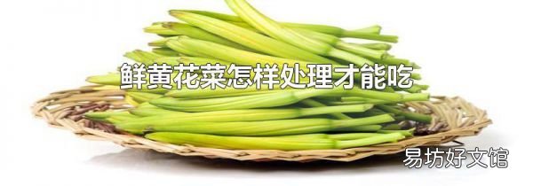 鲜黄花菜怎样处理才能吃
