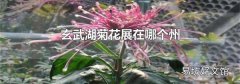 玄武湖菊花展在哪个州