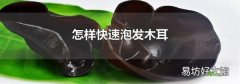 怎样快速泡发木耳