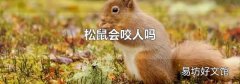 松鼠会咬人吗