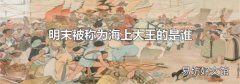 明末被称为海上大王的是谁