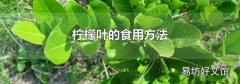 柠檬叶的食用方法