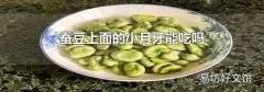 蚕豆上面的小月牙能吃吗