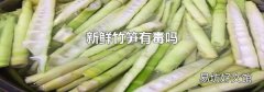 新鲜竹笋有毒吗