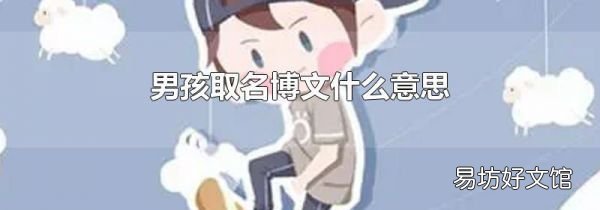 男孩取名博文什么意思