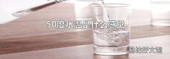 50度水温是什么感觉