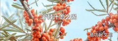 沙棘汁怎么喝