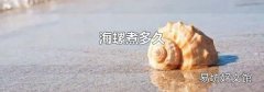 海螺煮多久