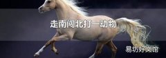 走南闯北打一动物