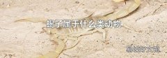 蝎子属于什么类动物