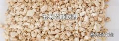 玉米芯能吃吗