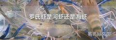 罗氏虾是河虾还是海虾