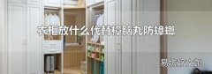 衣柜放什么代替樟脑丸防蟑螂