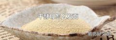 干酵母怎么发面