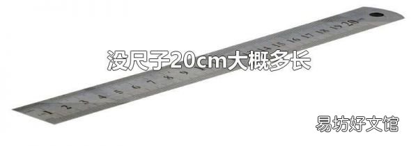 没尺子20cm大概多长