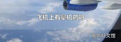 飞机上有晕机药吗