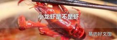 小龙虾是不是虾