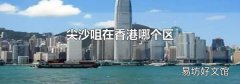 尖沙咀在香港哪个区