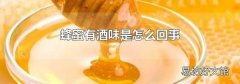 蜂蜜有酒味是怎么回事