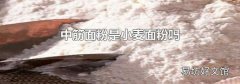 中筋面粉是小麦面粉吗