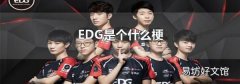 EDG是个什么梗