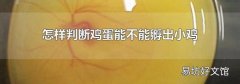 怎样判断鸡蛋能不能孵出小鸡