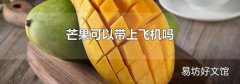 芒果可以带上飞机吗