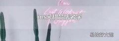 ins风甜品店名字