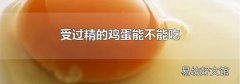 受过精的鸡蛋能不能吃