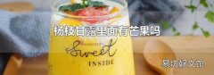 杨枝甘露里面有芒果吗