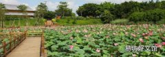 夏季干燥还是冬季干燥