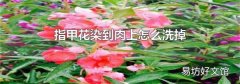 指甲花染到肉上怎么洗掉