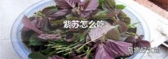 紫苏怎么吃