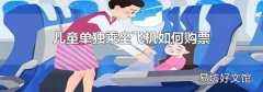 儿童单独乘坐飞机如何购票