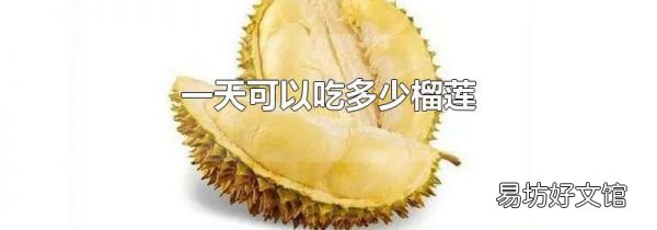 一天可以吃多少榴莲