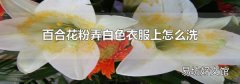 百合花粉弄白色衣服上怎么洗