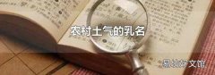 农村土气的乳名