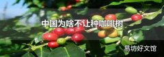 中国为啥不让种咖啡树