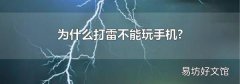 为什么打雷不能玩手机?