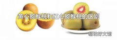 黄心猕猴桃和红心猕猴桃的区别