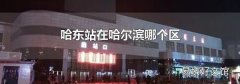 哈东站在哈尔滨哪个区
