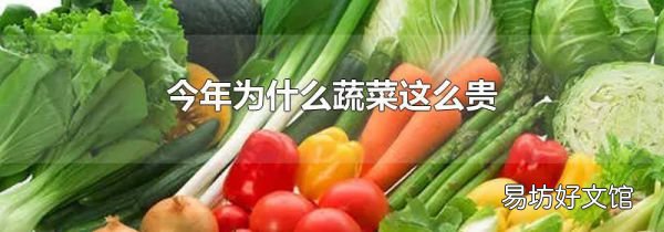今年为什么蔬菜这么贵