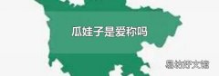 瓜娃子是爱称吗