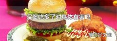 汉堡吃多了对身体有害吗